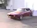 crazy mustang crazy mustang