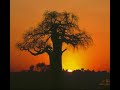 Dark Beat - New Age RMX Dark Beat - New Age RMX