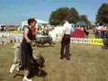 CO-Leszno-08-BOB