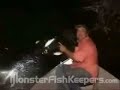 Incredible Fish Video