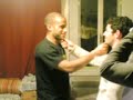 nouns clake babouin a barbichette