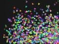 2D Polygon rendering demo(3067FPS ver.) on PS3 Linux