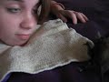 Our Baby Bat