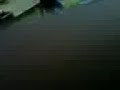 la caida de caro