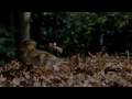 Earth Trailer - High Definiton