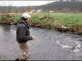 Tight Lines-About WI Spring Creeks