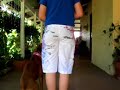 Bondi obedience training