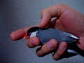 文鳥
