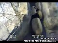 baby-panda-falls.html