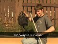 The Truman Show (Sweded) Backwards