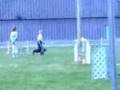 Sheltie DAWGS Agility