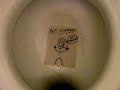 Austrian Toilet Flushing! Austrian Toilet Flushing!
