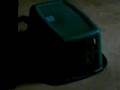 videos de Kitty in a Basket