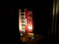 de magic decap accordeon als accordeonist