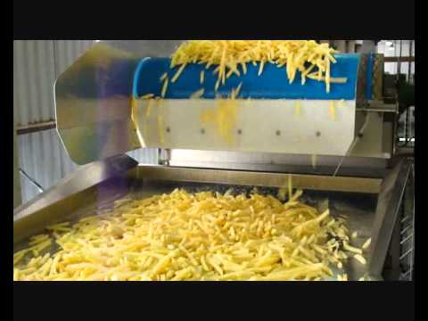 bma - BMA Nederland BV automatic French Fries processing line with a capacity of 9.000 kg/hour output.