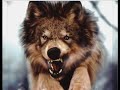 Sonata Arctica - San Sebastian (Best Quality + Lyrics)