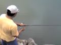 pesca israel pesca israel