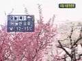 si joon, park