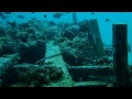 kapalai-rainbow-traveler.AVI