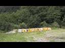 200806 南橫毛地黃 19 人 18 台車
