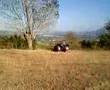 4 ruote luzzano