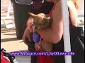Lewisville, TX. Doggy Dive In 2007