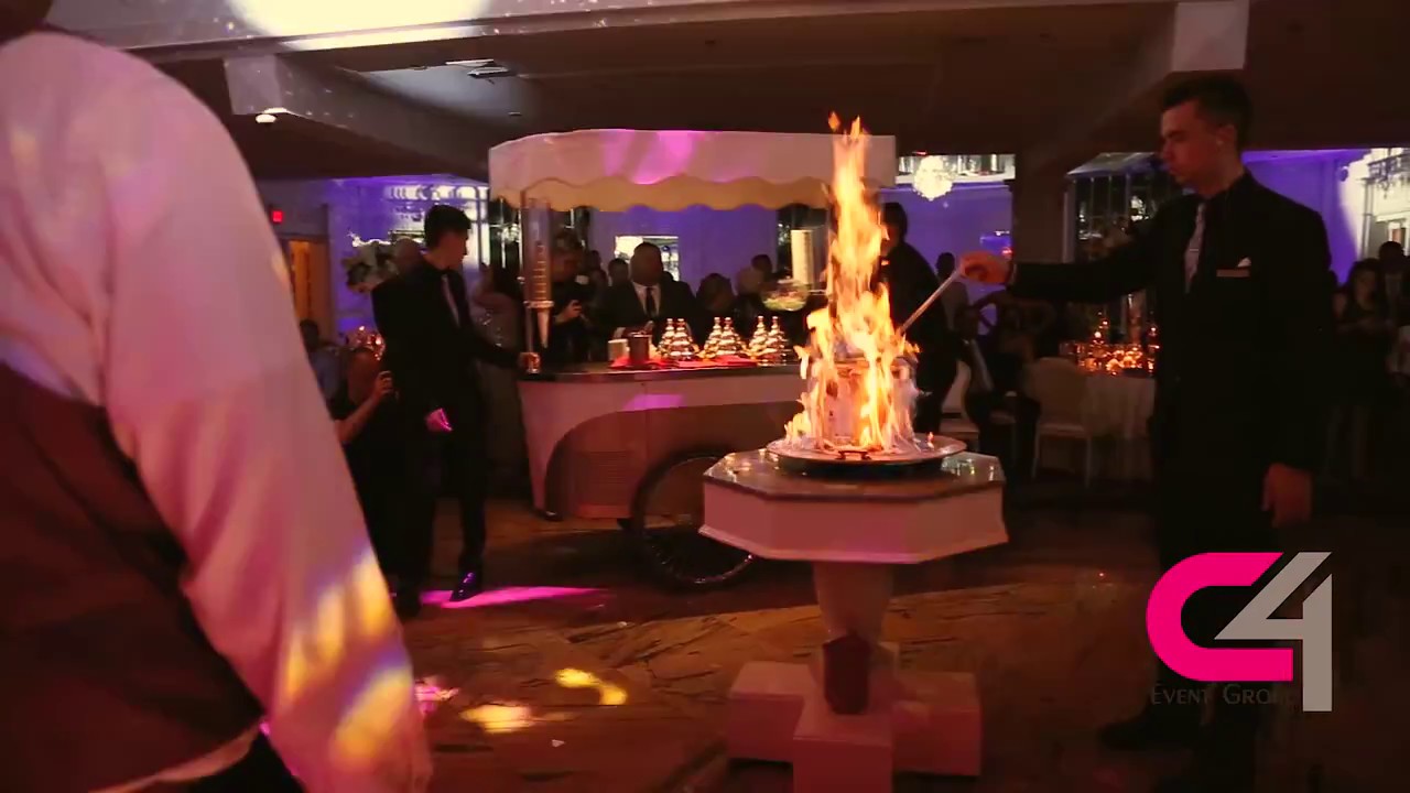 Wedding Reception Highlights #3