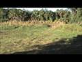 Driving the Max II