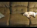 Lucie: The Movie!!! Lucie: The Movie!!!