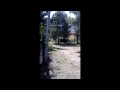 miniature