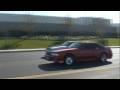 5.0 Mustang Vs. 5.0 Mustang Team Underground