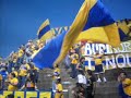 tigres libertadores