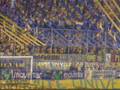Tigres Libertadores