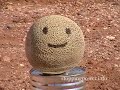 .45 ACP 1911 vs Cantaloupe