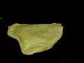 Chapati ( Paratha ) Making Made Easier