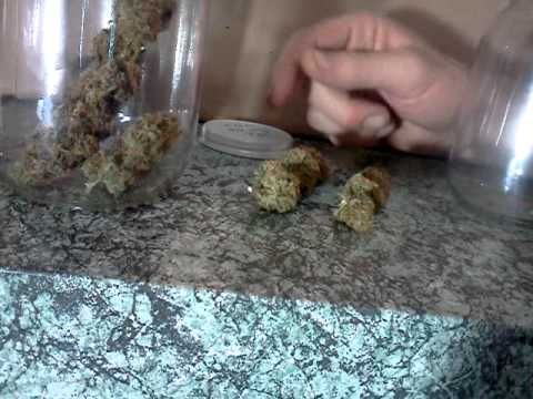 how to cure weed fast