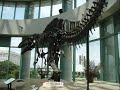 Tribute to Acrocanthosaurus Tribute to Acrocanthosaurus