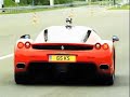 enzo   f40