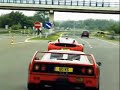 enzo   f40