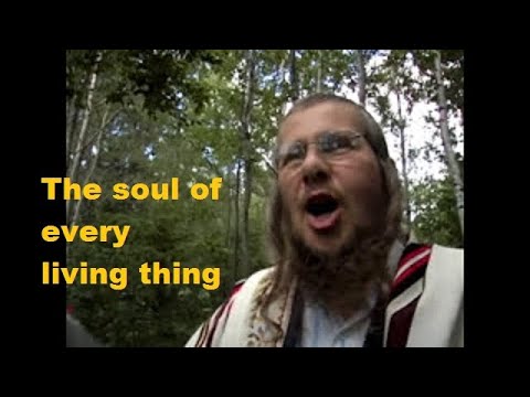 'The Soul of Every Living Thing' -- vegetarian video with Yonassan Gershom 'The Soul of Every Living Thing' -- vegetarian video with Yonassan Gershom