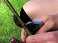 Fruit tree grafting, budding and more - Benji Woodman-pt2