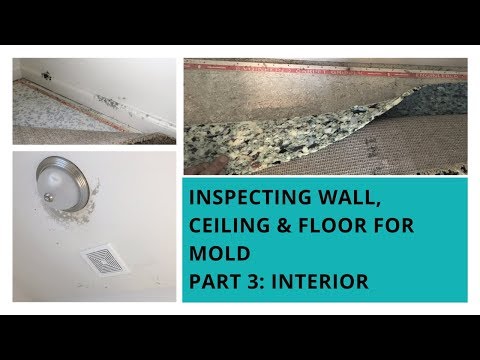 video-linktoworks-How To Inspect Your Home For Mold: Part 3 (Walls...
