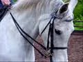 white horses (nymrod) white horses (nymrod)