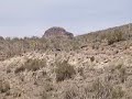 skabone canyon carving with his 6th gen accord