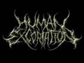 videos de BRUTAL BANDS II