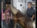 Saving Phoebe