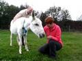 videos de Does a donkey ever forget?