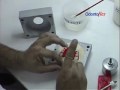 ODONTOFLEX - PARTE 4.2