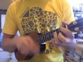 1. My Name is Jonas (Ukulele Weezer)