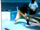 SHARK EATS JACKASS SHARK EATS JACKASS